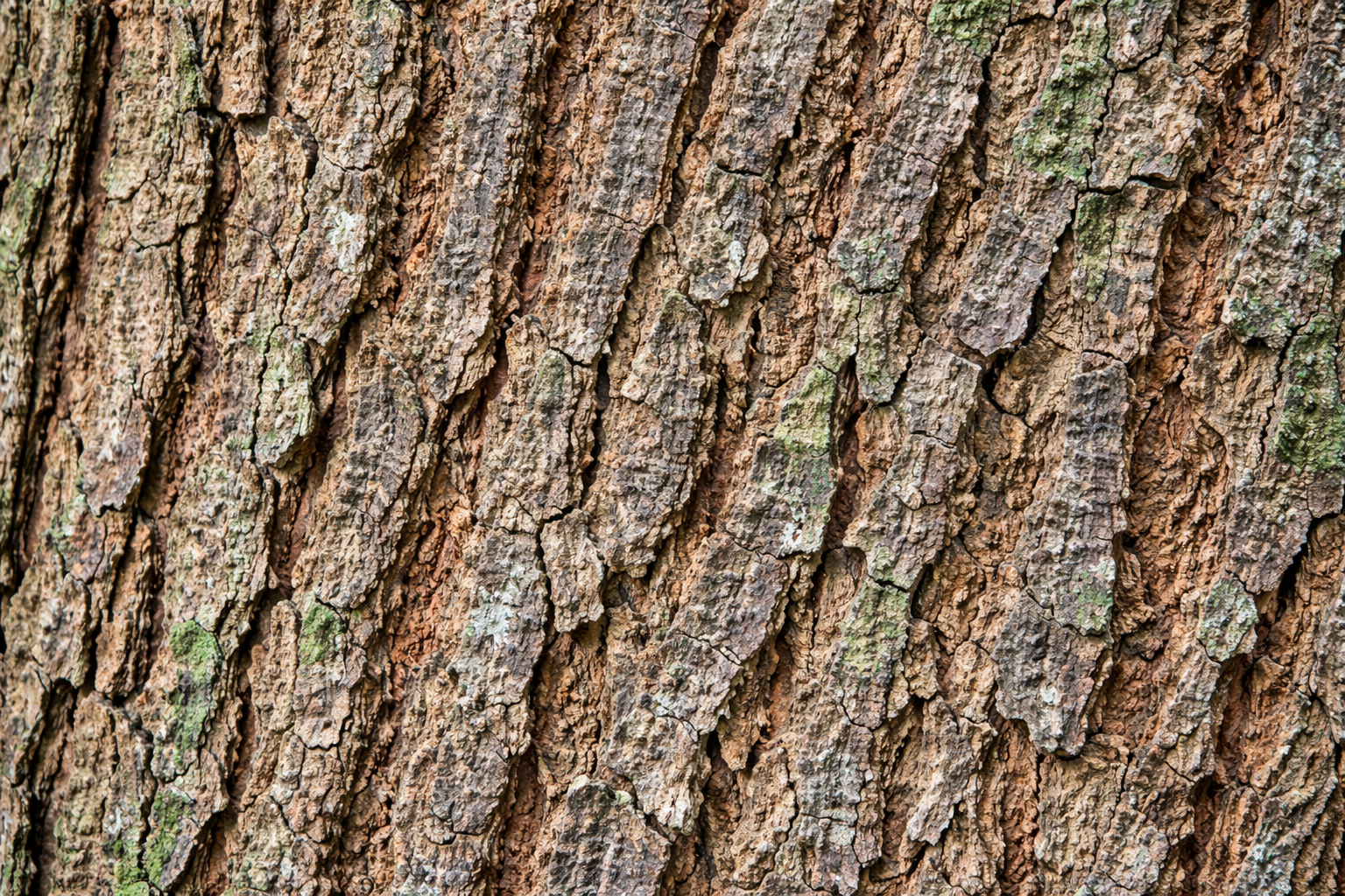 Resin Formation