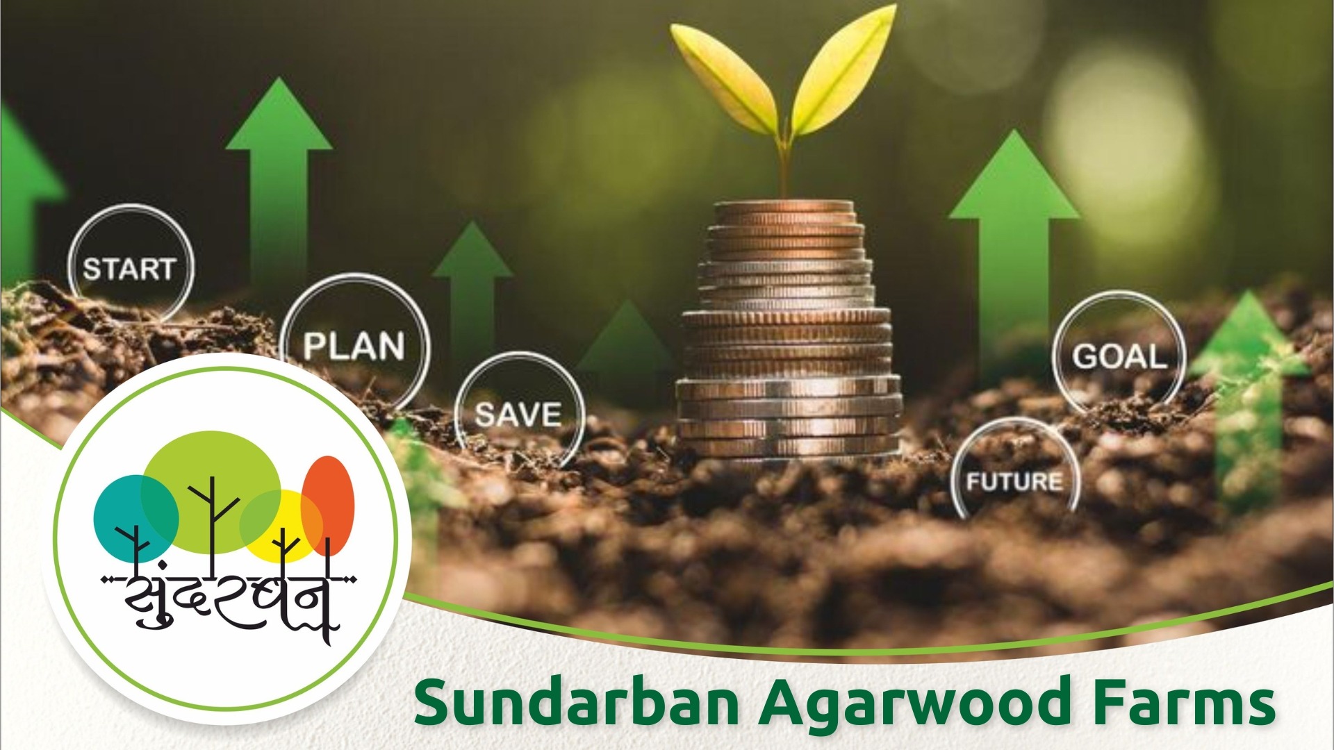 Sundarban Agarwood Farms
